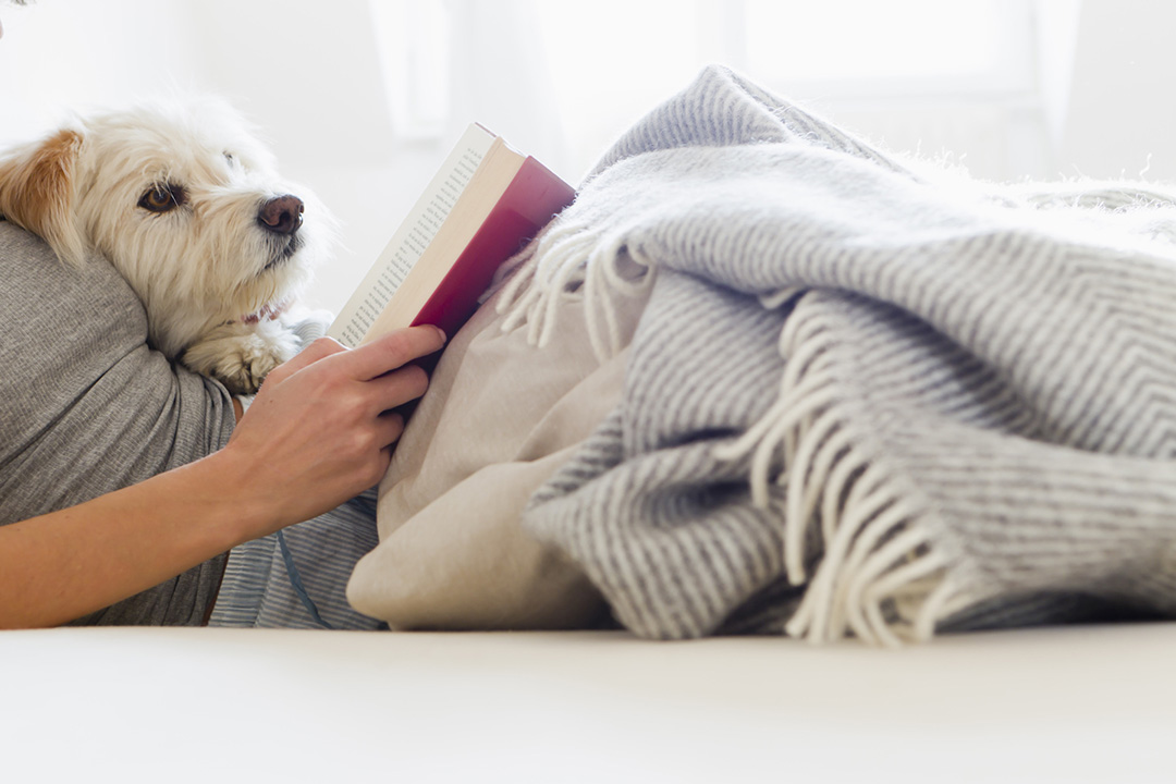5 Decorating Tips to Make Your Home Cozy
