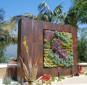 Wall screen made with succulents