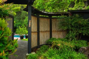 Natural curved bamboo landscape screen