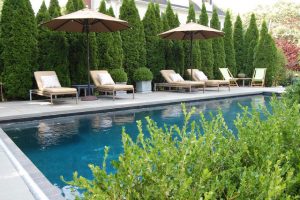 Plantscaping as landscape screens