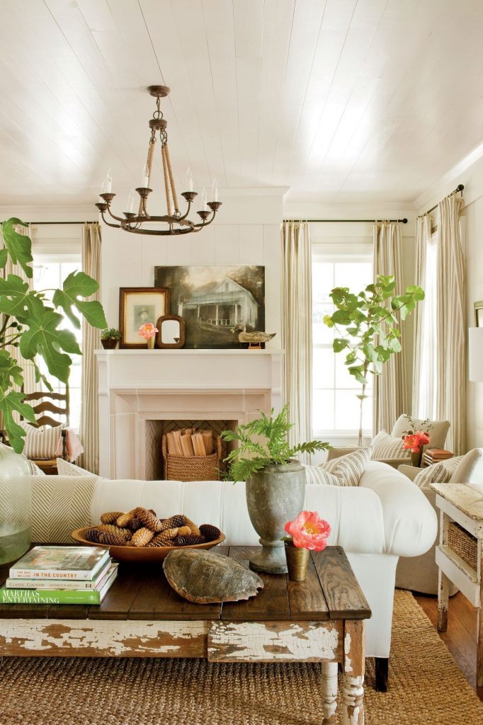 interiors are more inviting with plants