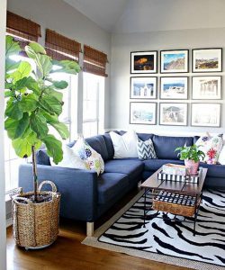 Just a few key plants make all the difference.