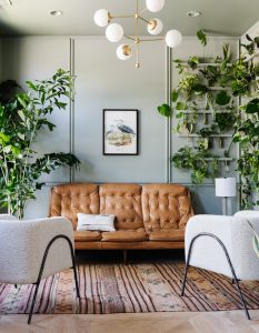 Living area calming color.