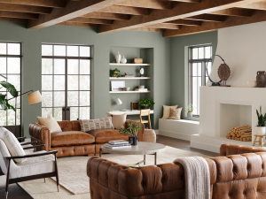 Evergreen Fog is a soft gray-green neutral.