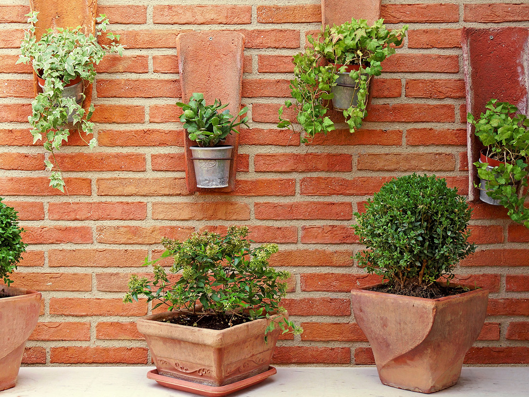 The right plants will enhance your patio space.