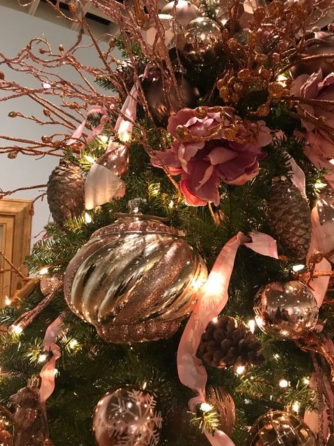 May All of Your Wishes Come True, sponsored by Jon Paul Trevasani, M.D. and the Staff of The Aesthetic Surgery Centre of Maitland.