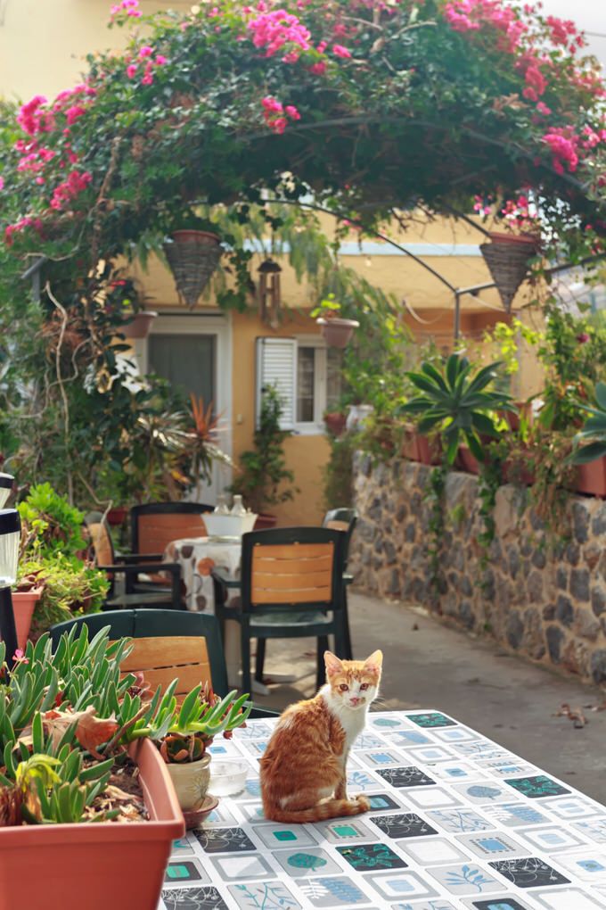 Greek-inspired touches add depth and warmth to your outdoor spaces.
