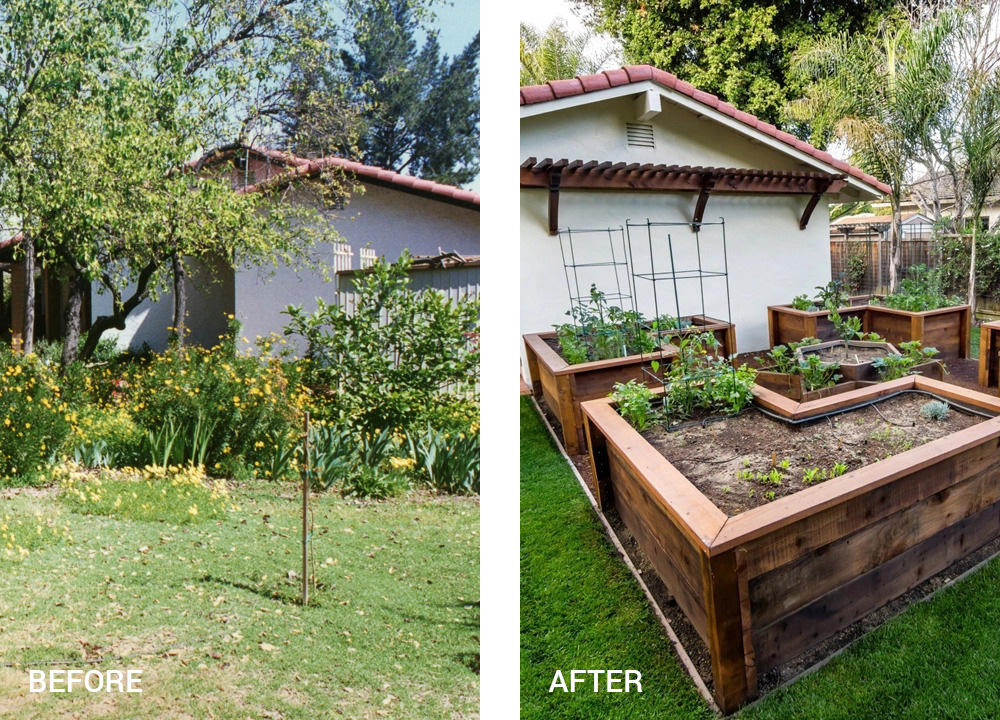 Clear the bramble and create a yard