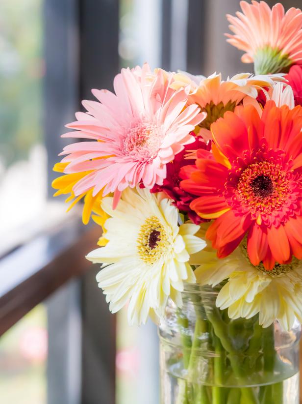 Gerber daisies not only beautify your home, but they'll help cleanse the air too.