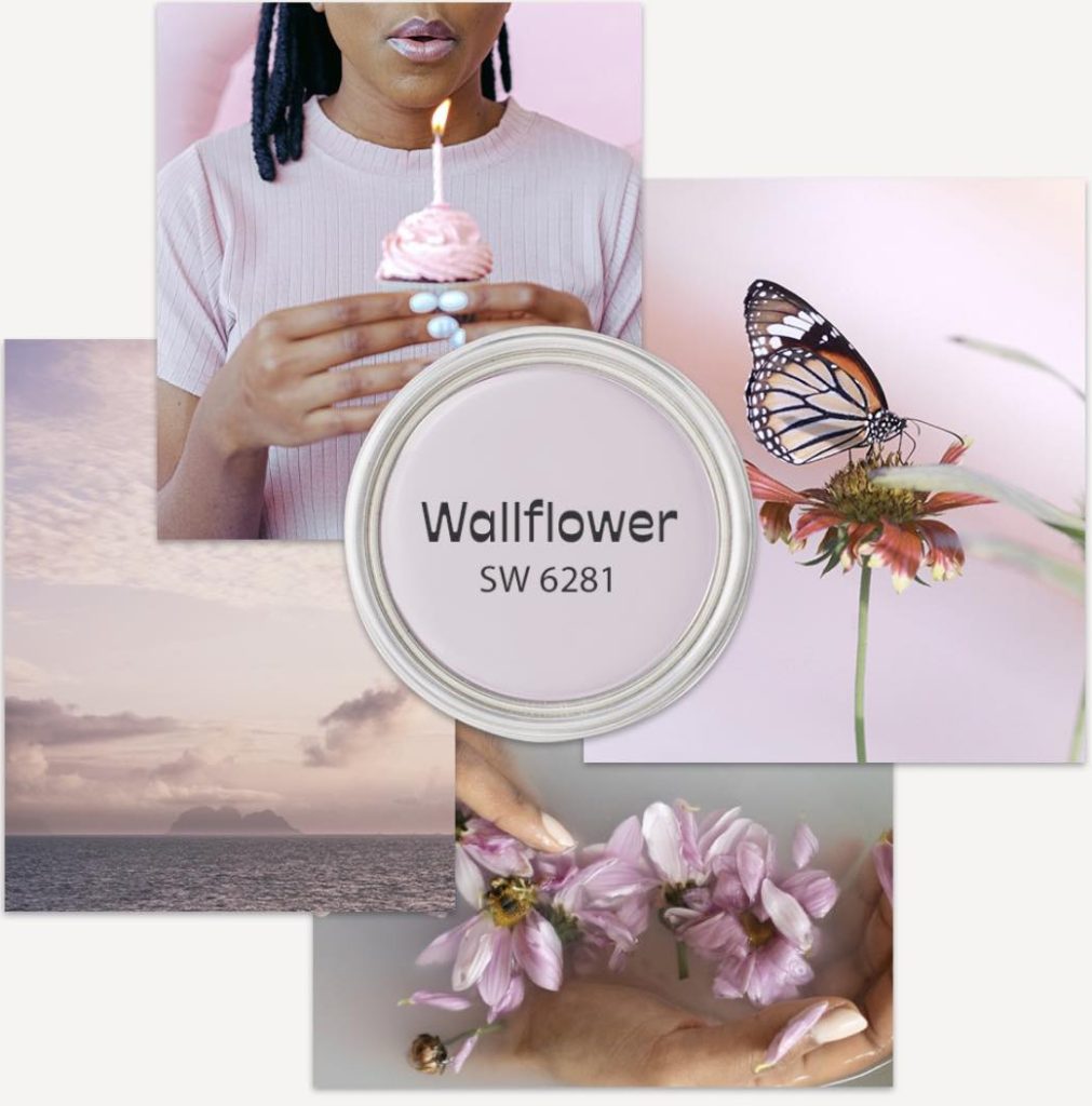 Wallflower color sample