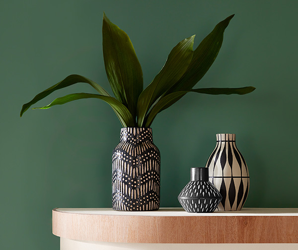 Kale Green adds a lush, tropical vibe to any wall or accessory.