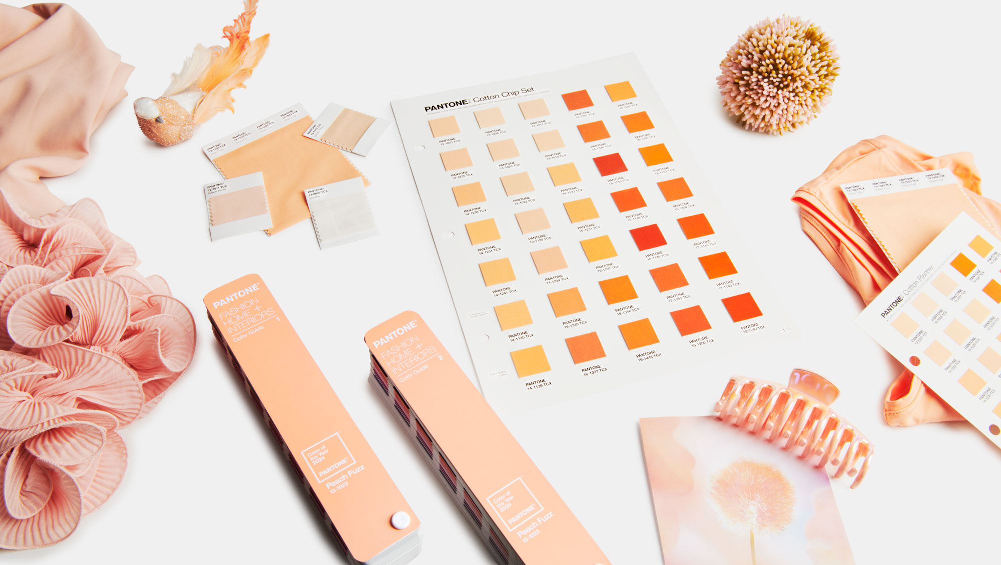 Pantone 2024 Color of the Year: Peach Fuzz.