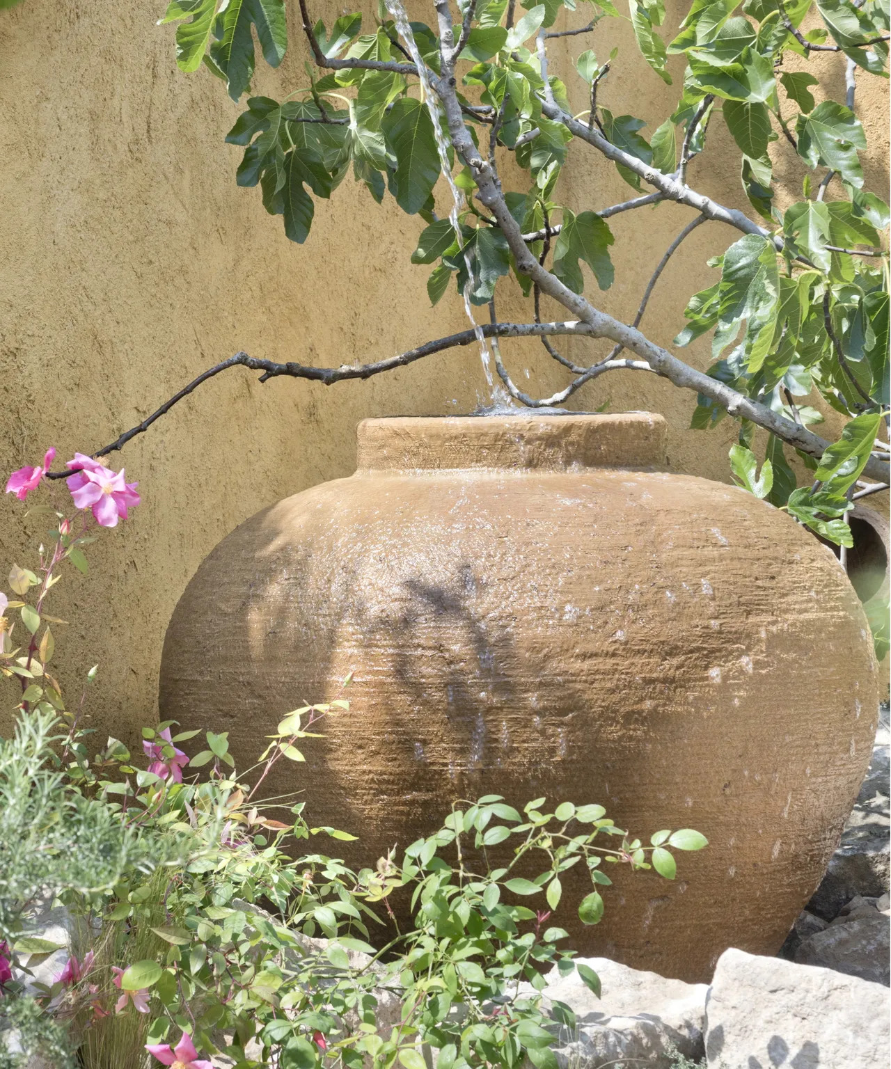 Terracotta is ideal for drought-tolerant Mediterranean plants like lavender and rosemary.