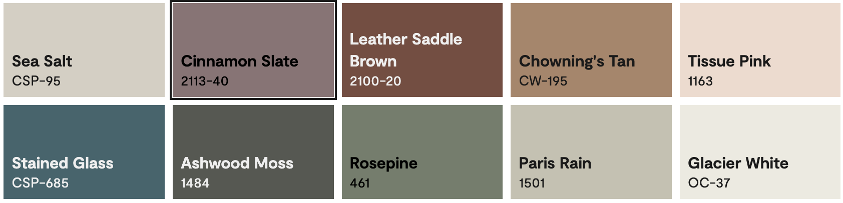 Inspiration from Nature: The Color Trends 2025 Palette