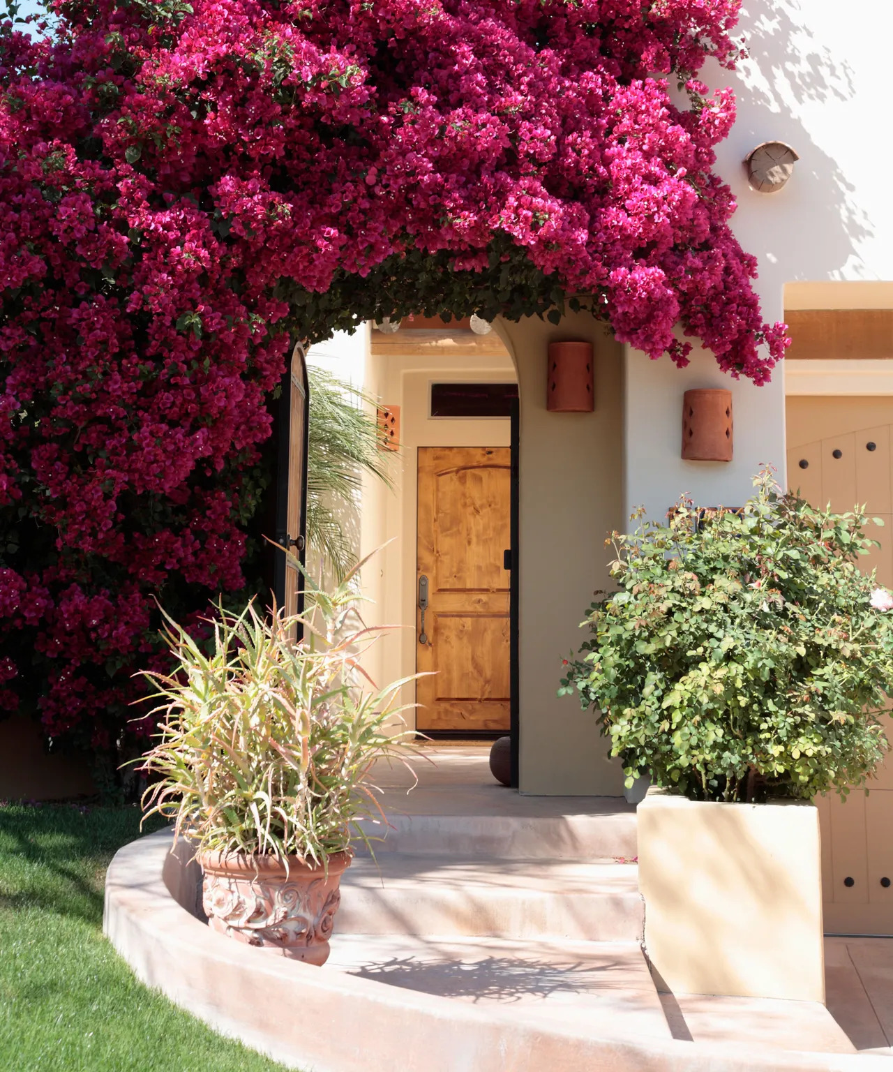 Create a sense of romance for your Mediterranean patio by incorporating flowering vines like bougainvillea or star jasmine.