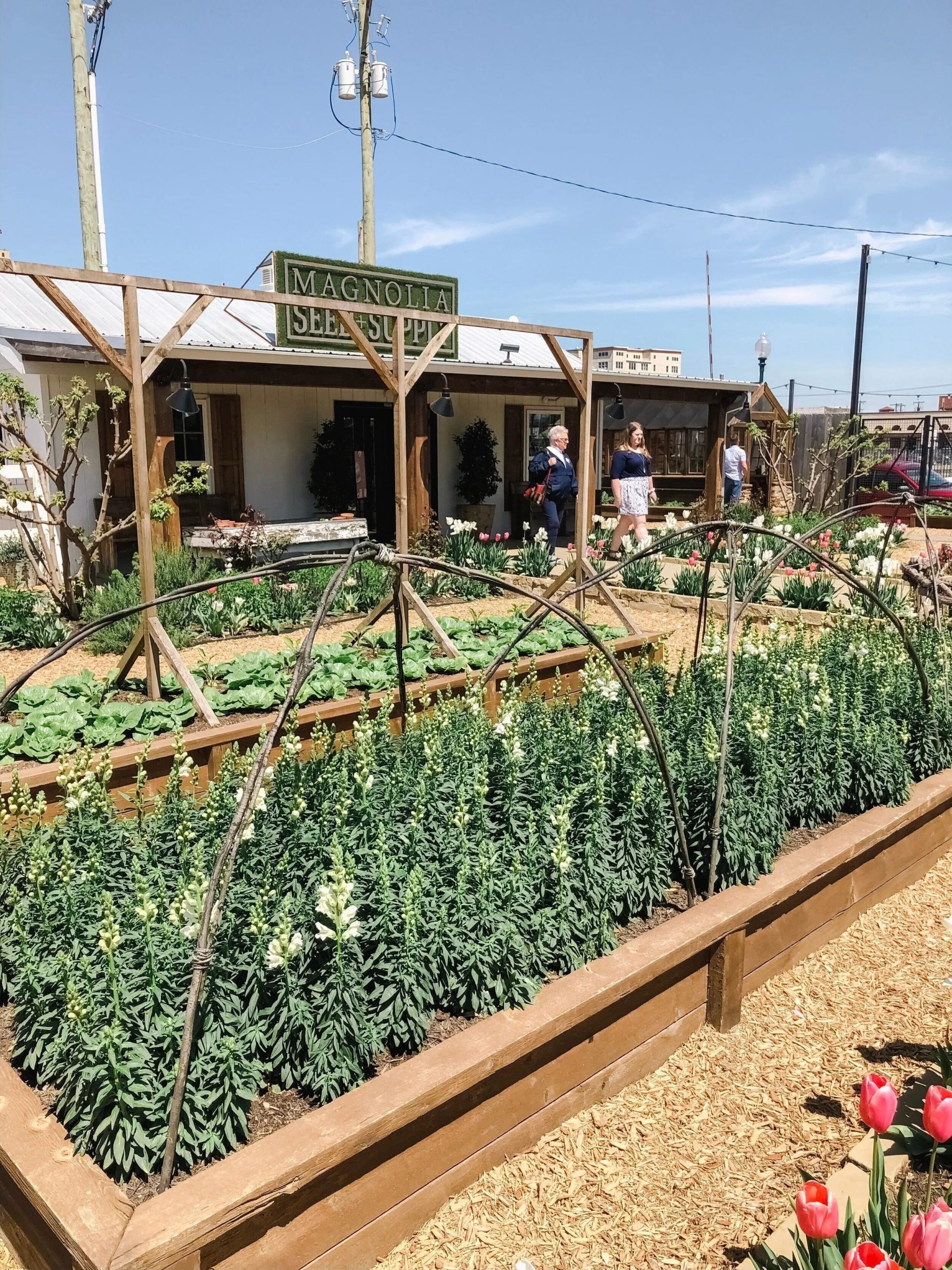 Magnolia Mart garden