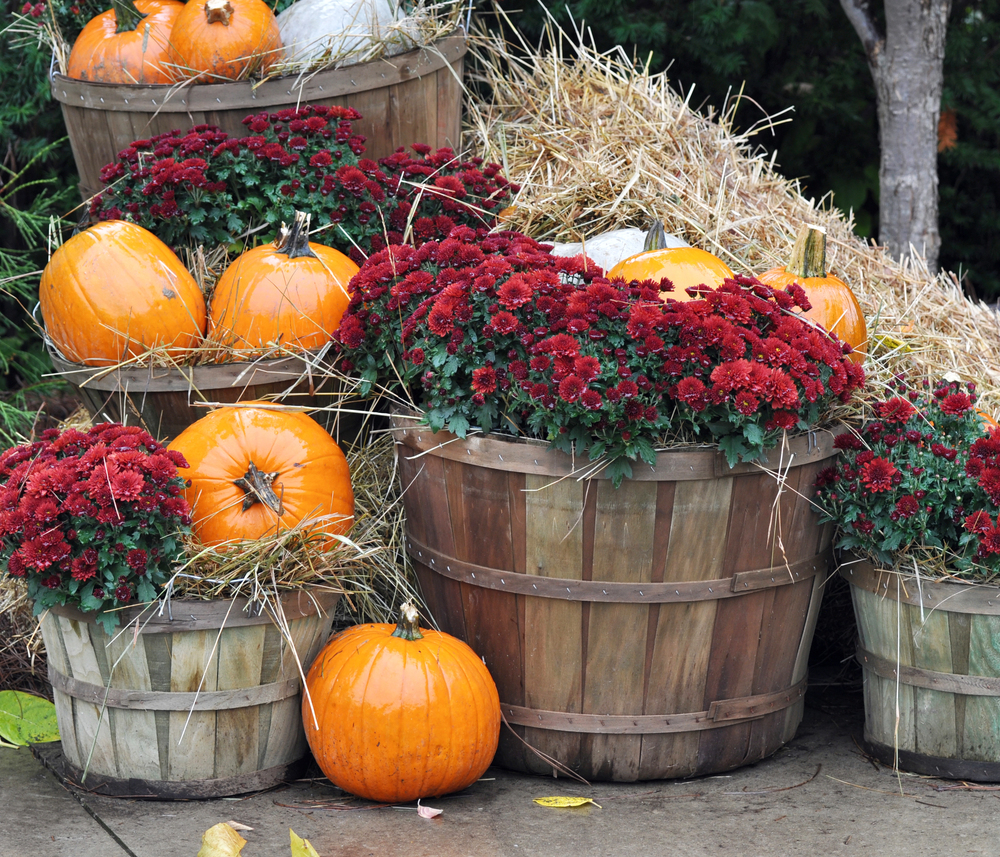 Thanksgiving decor