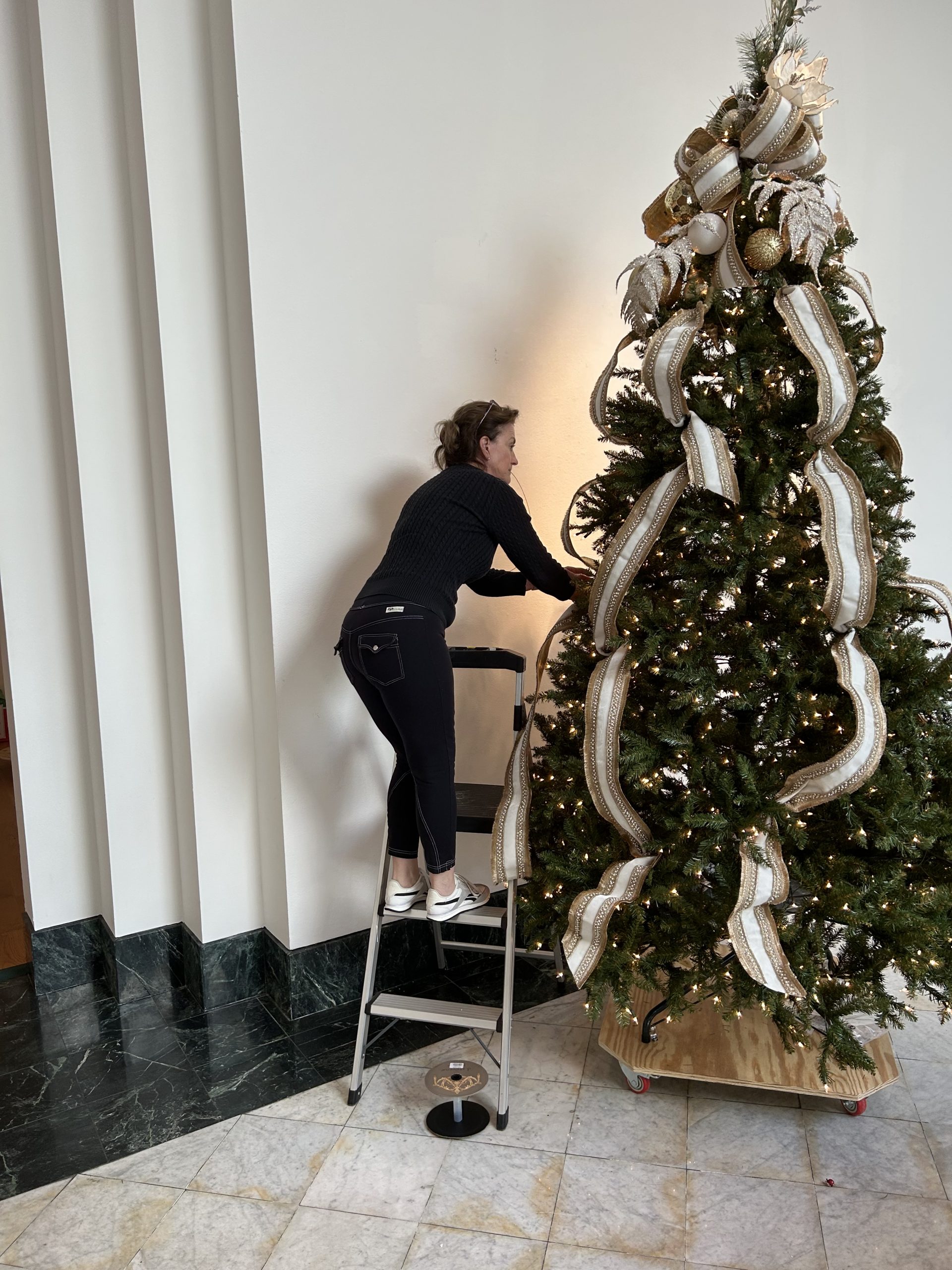 FOT tree in progress