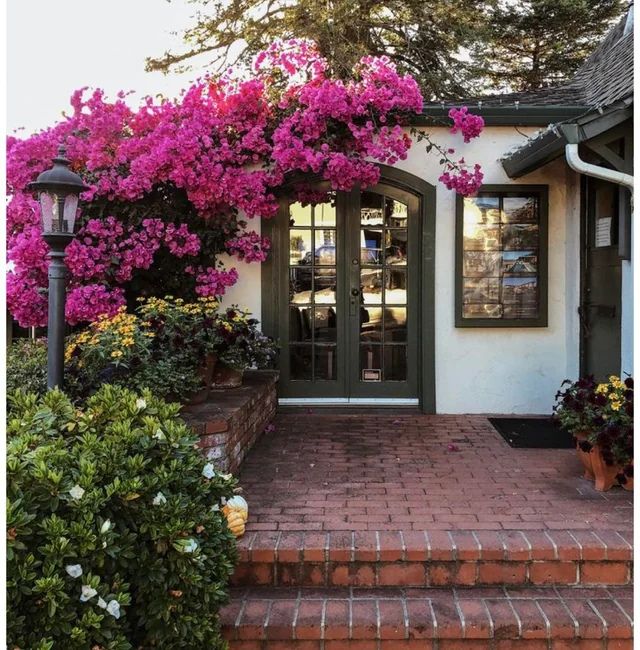 spring curb appeal